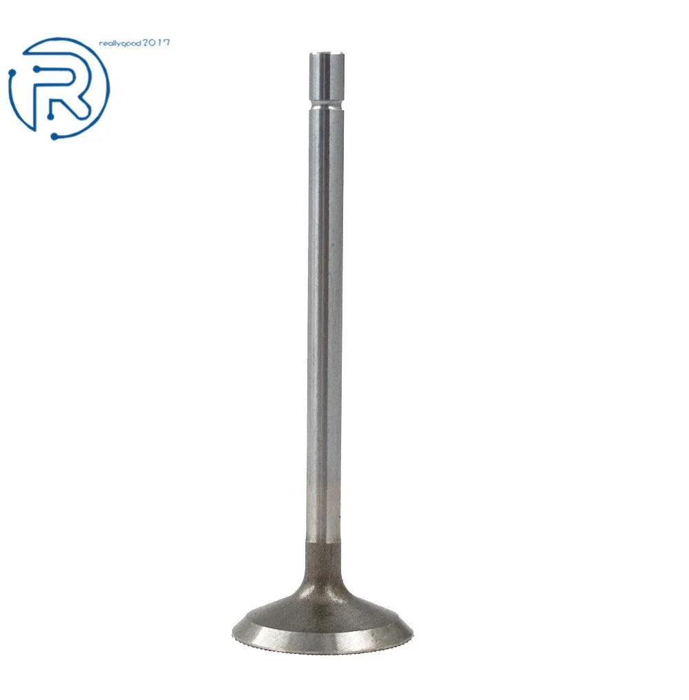 Intake Exhaust Valve Kit for Buick Allure Enclave Lacrosse 3.6L (2004–2011)