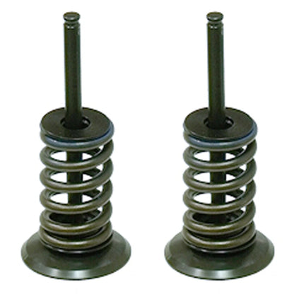 Psychic Intake Valve Kit for Honda TRX450R & TRX450ER (2006–2014) XU-09502IKatv