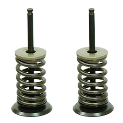 Psychic Intake Valve Kit for Kawasaki KX250F (2009–2010) XU-09515IK