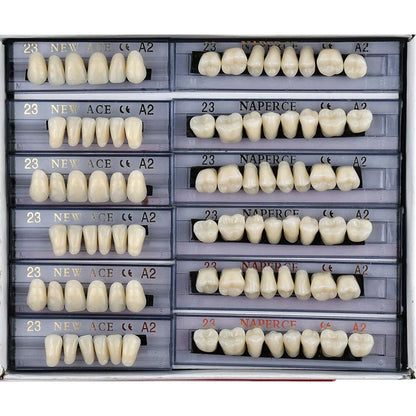 168Pcs Acrylic Resin Denture Teeth Set for Upper Lower Shade A2