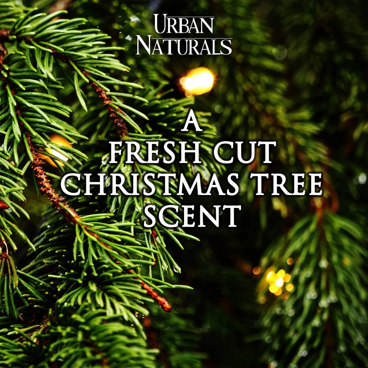 Reed Diffuser for Urban Naturals Balsam Forest (4 oz)