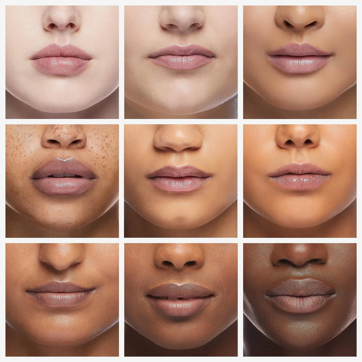 24 Count Lip Balm Assorted for Premium and Traditional Use