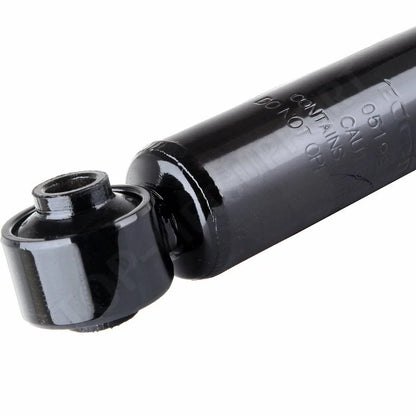 Rear Pair Struts for Dodge Ram 2500 2WD (2008–2010)