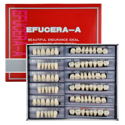168Pcs Acrylic Resin Denture Teeth Set for Upper Lower Shade A2