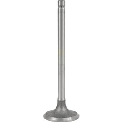Intake Valve for Ford/New Holland (S.65925)