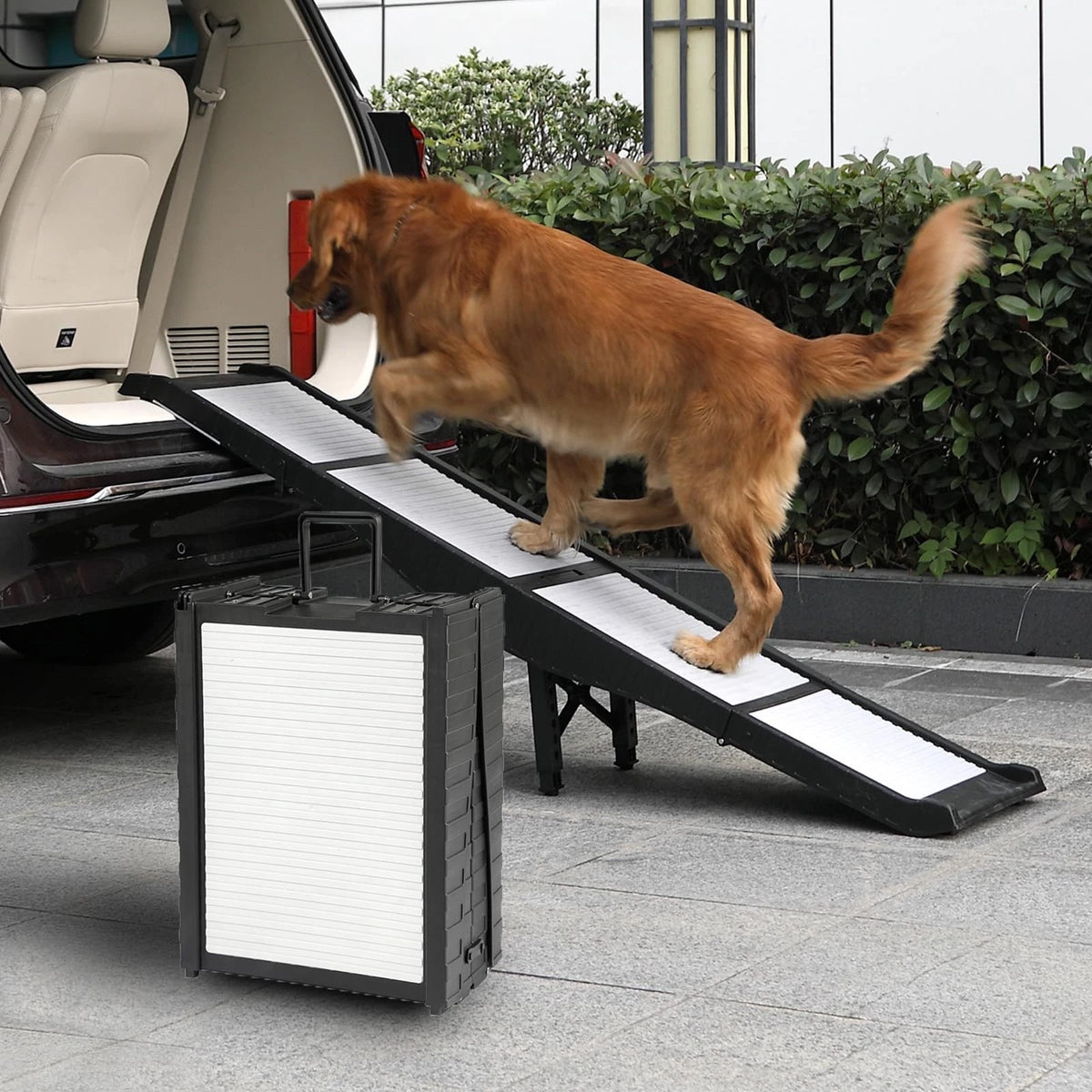 Dog Car Ramps for Universal Use (8 Heights, 220lbs, Non-Slip)