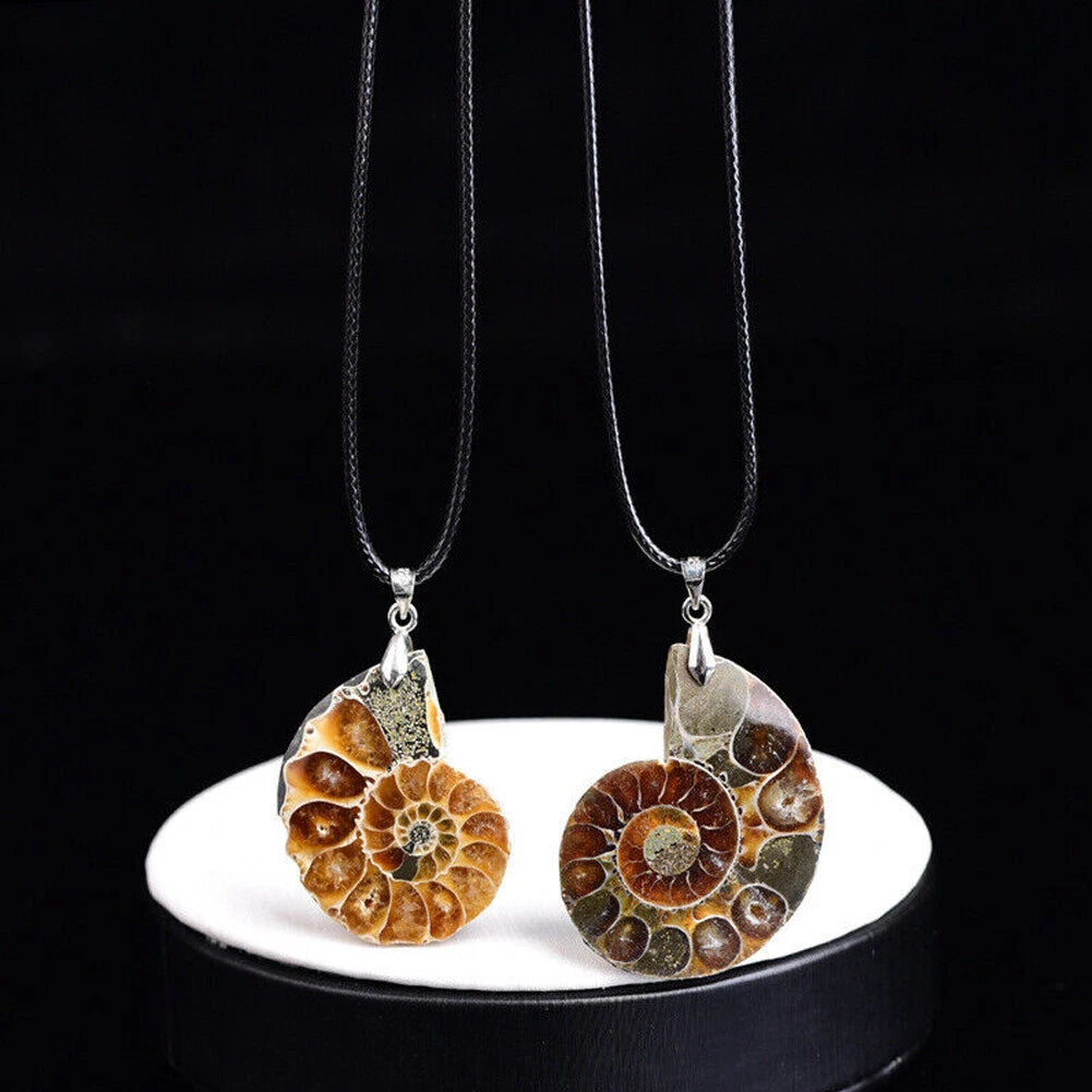 10PC Natural Quartz Crystal Conch Fossil Pendant Necklace