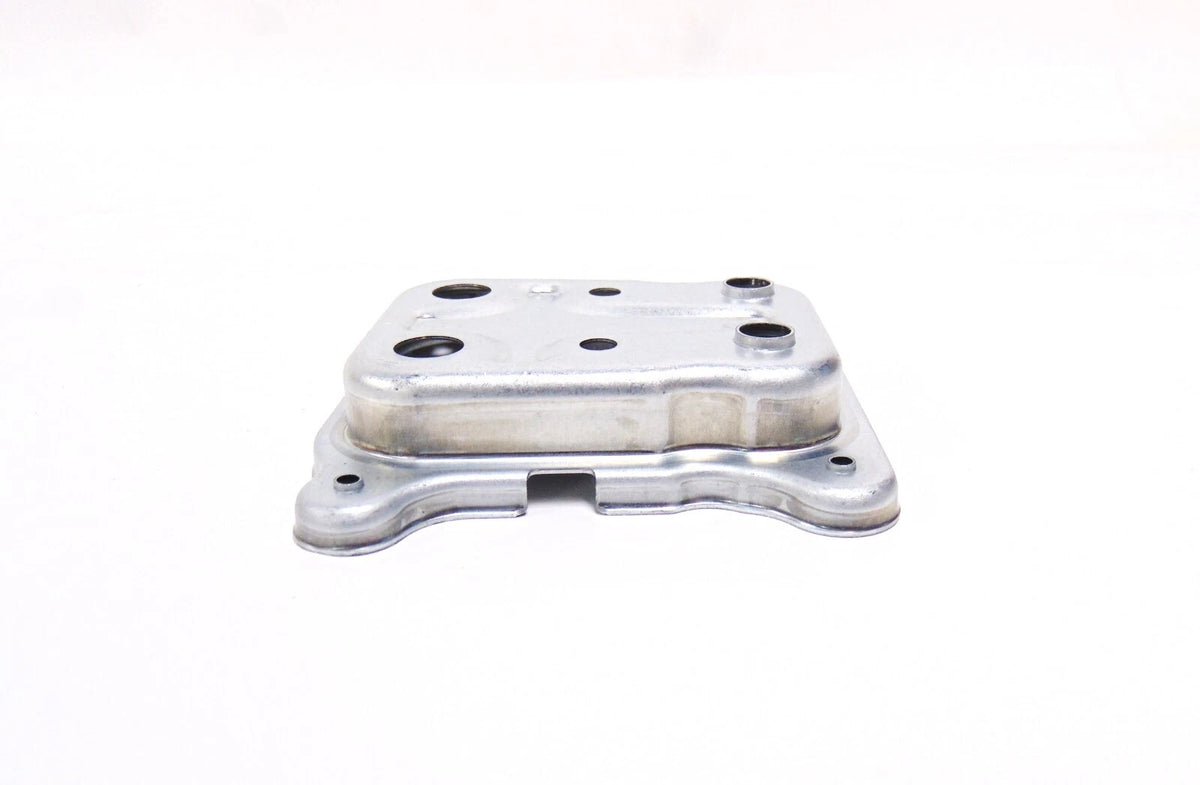Cylinder Head Plate for Briggs & Stratton Lawn Mower (OEM)