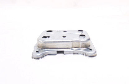 Cylinder Head Plate for Briggs & Stratton Lawn Mower (OEM)