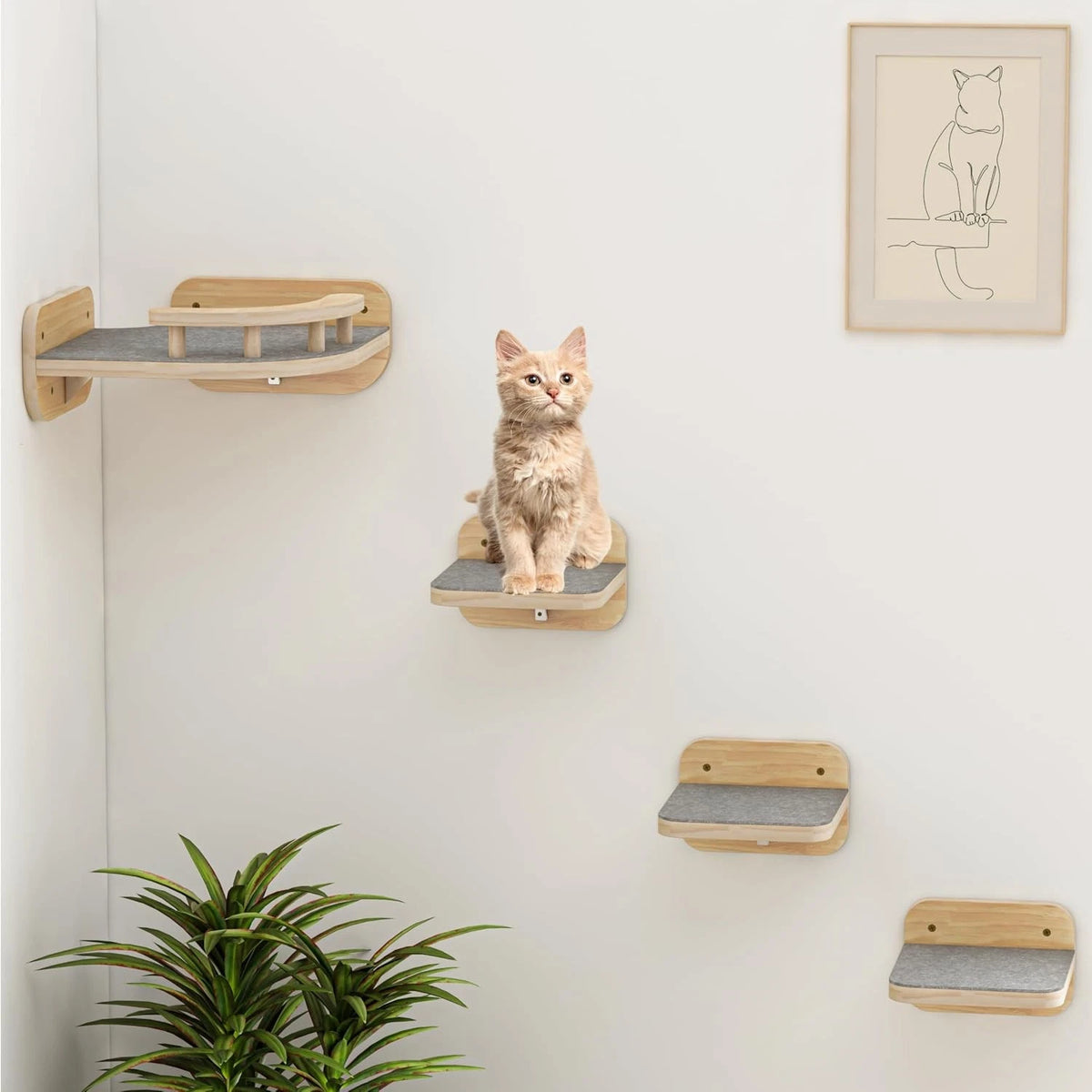 Cat Wall Furniture Corner Climbing Shelf Perches for Cats