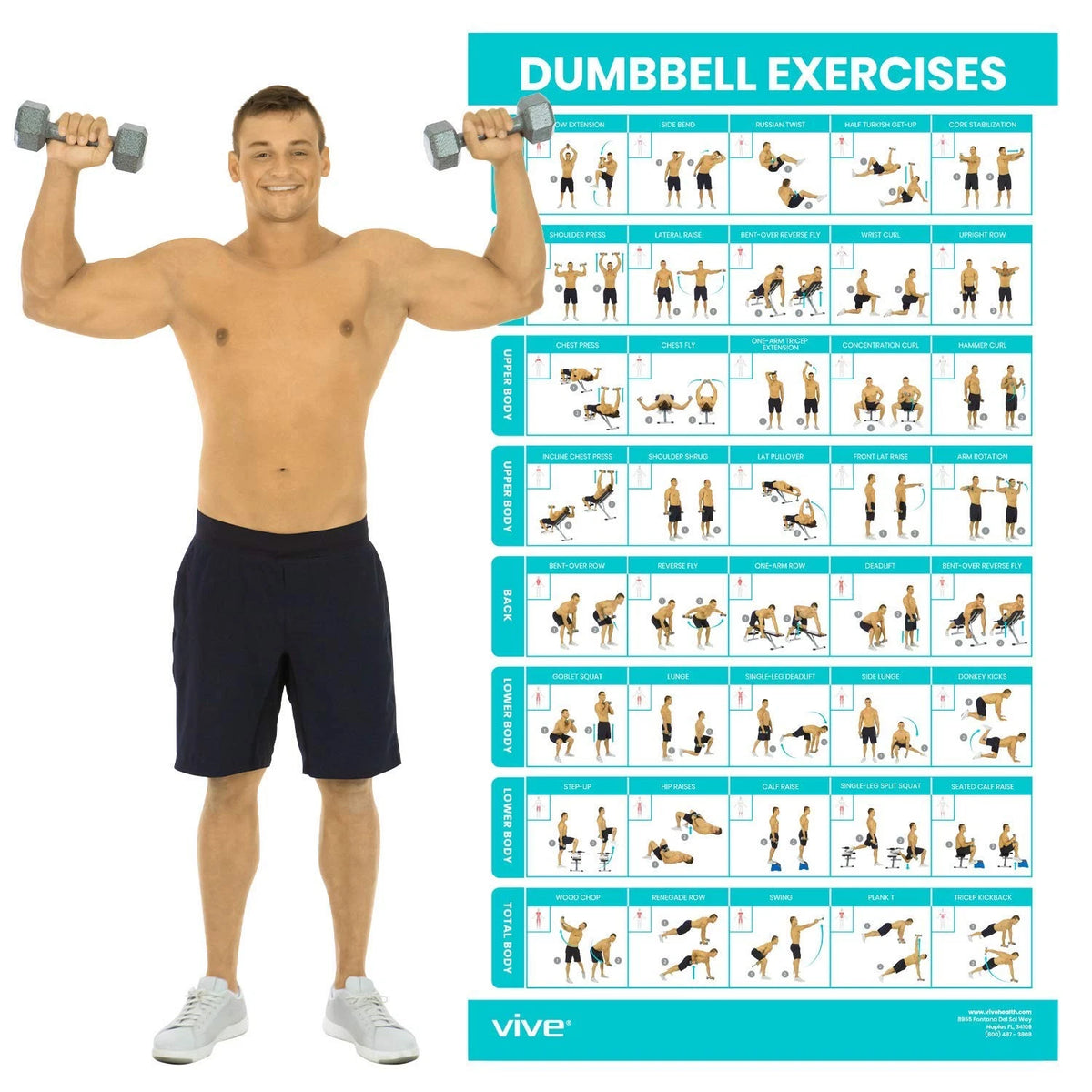 Dumbbell Workout Poster for Home Gym (30"L x 17"W) - Multicolor