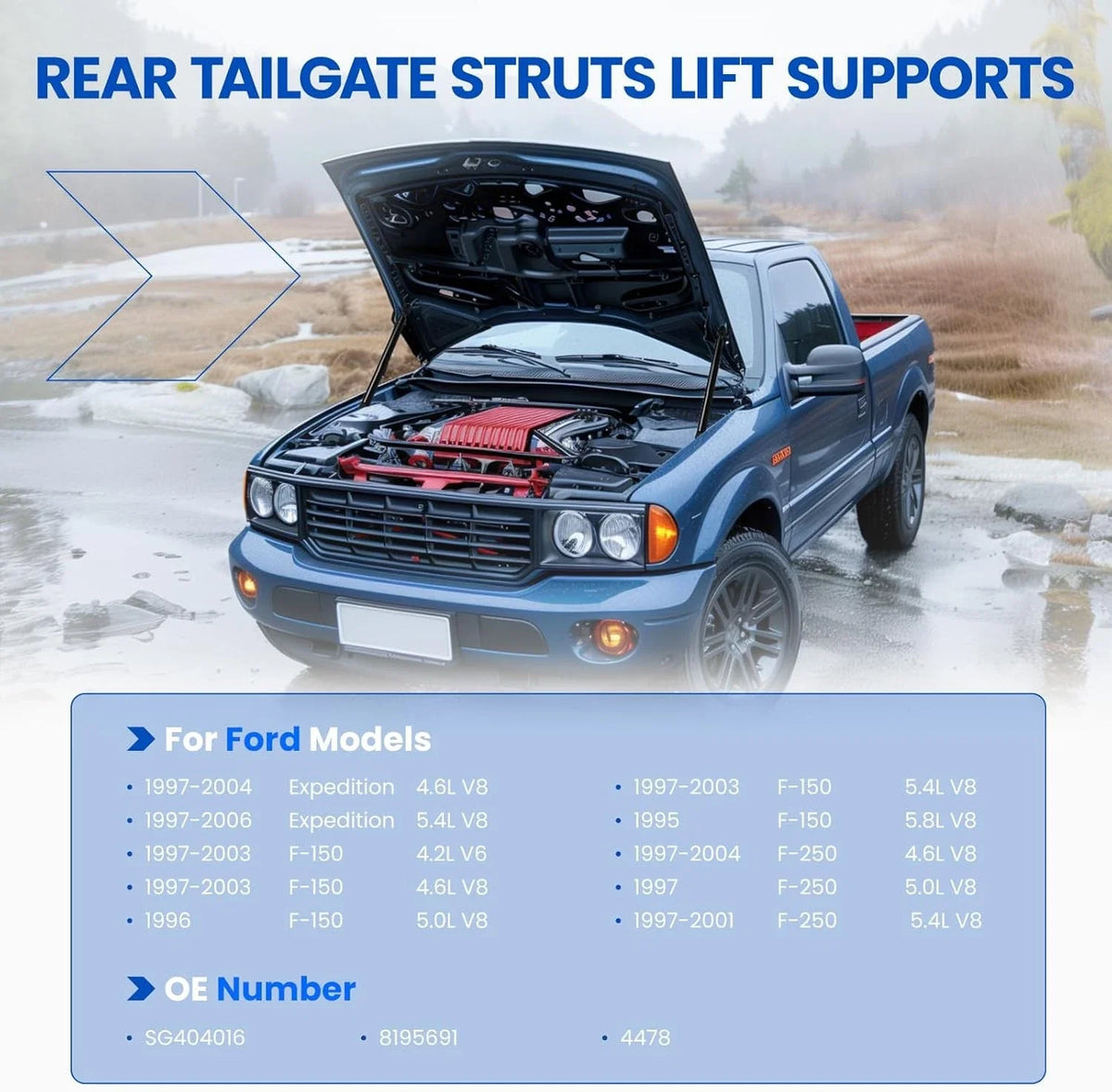 Lift Supports for Ford Expedition (4478 SG404016) (2003–2014)