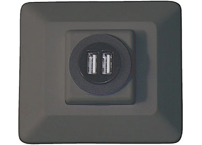 Dual USB & 12V Charging Wall Plate for RV (DG61030VP)