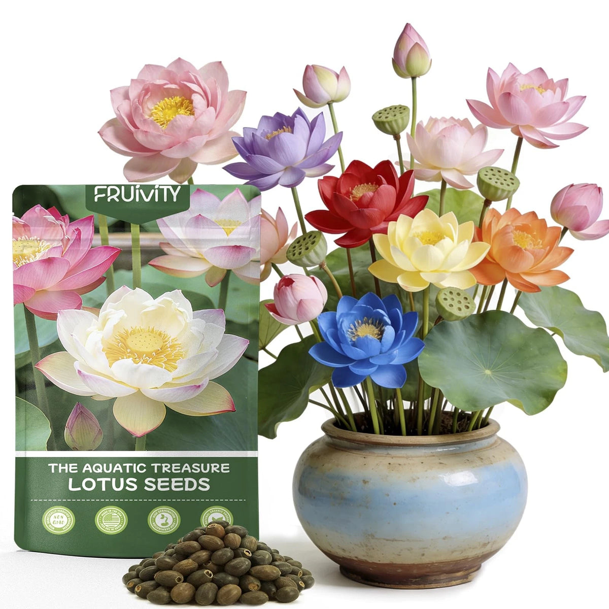 30 PCS Lotus Seeds for Planting in Water - Mixed Color Bowl