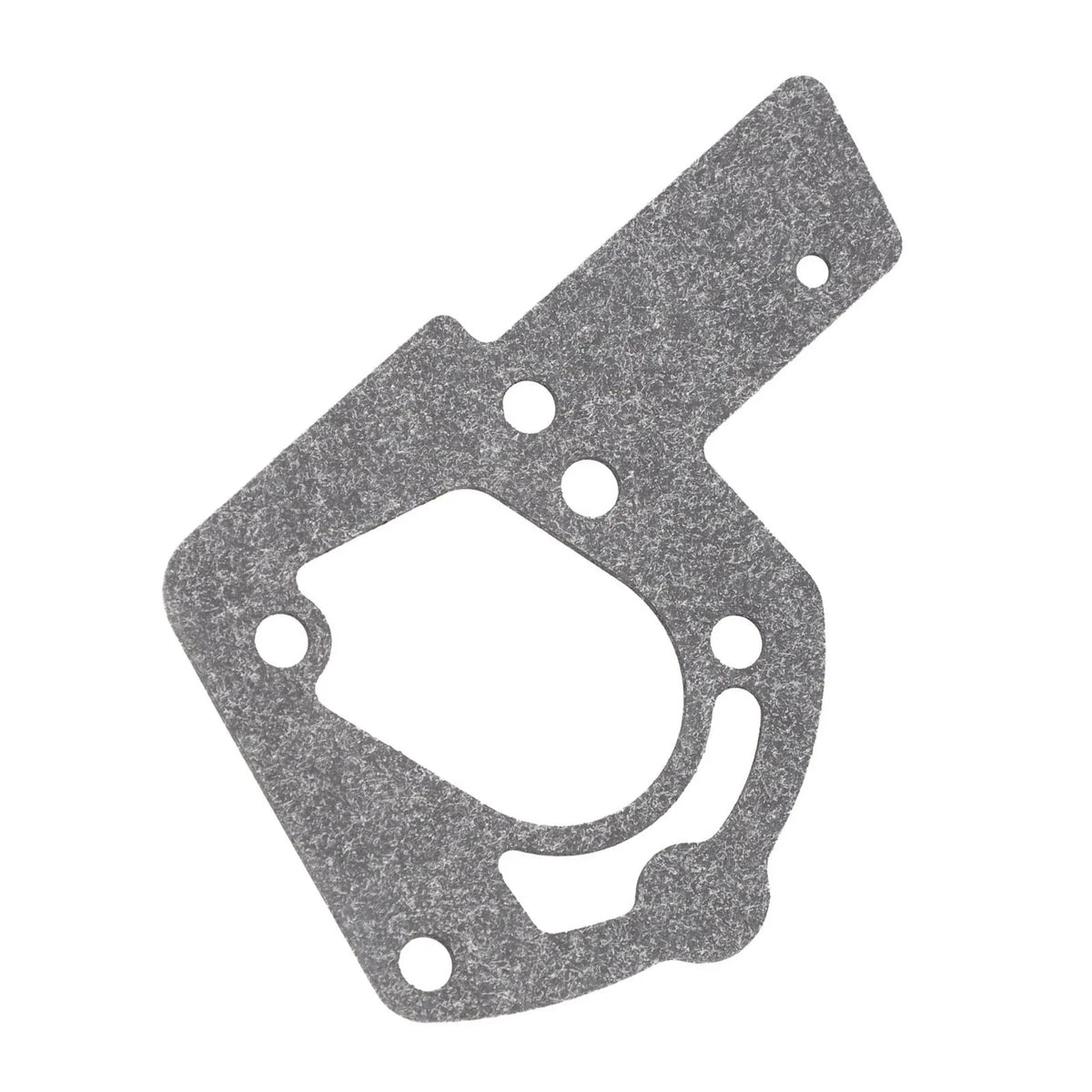 Gasket for Carburetor (004158, 272489) for
