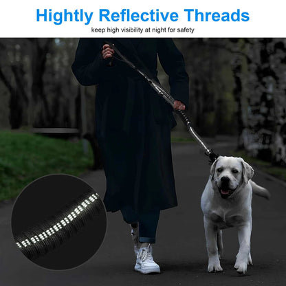 4 in 1 Bungee Dog Leash for Traffic Control & Seat Belt Clip