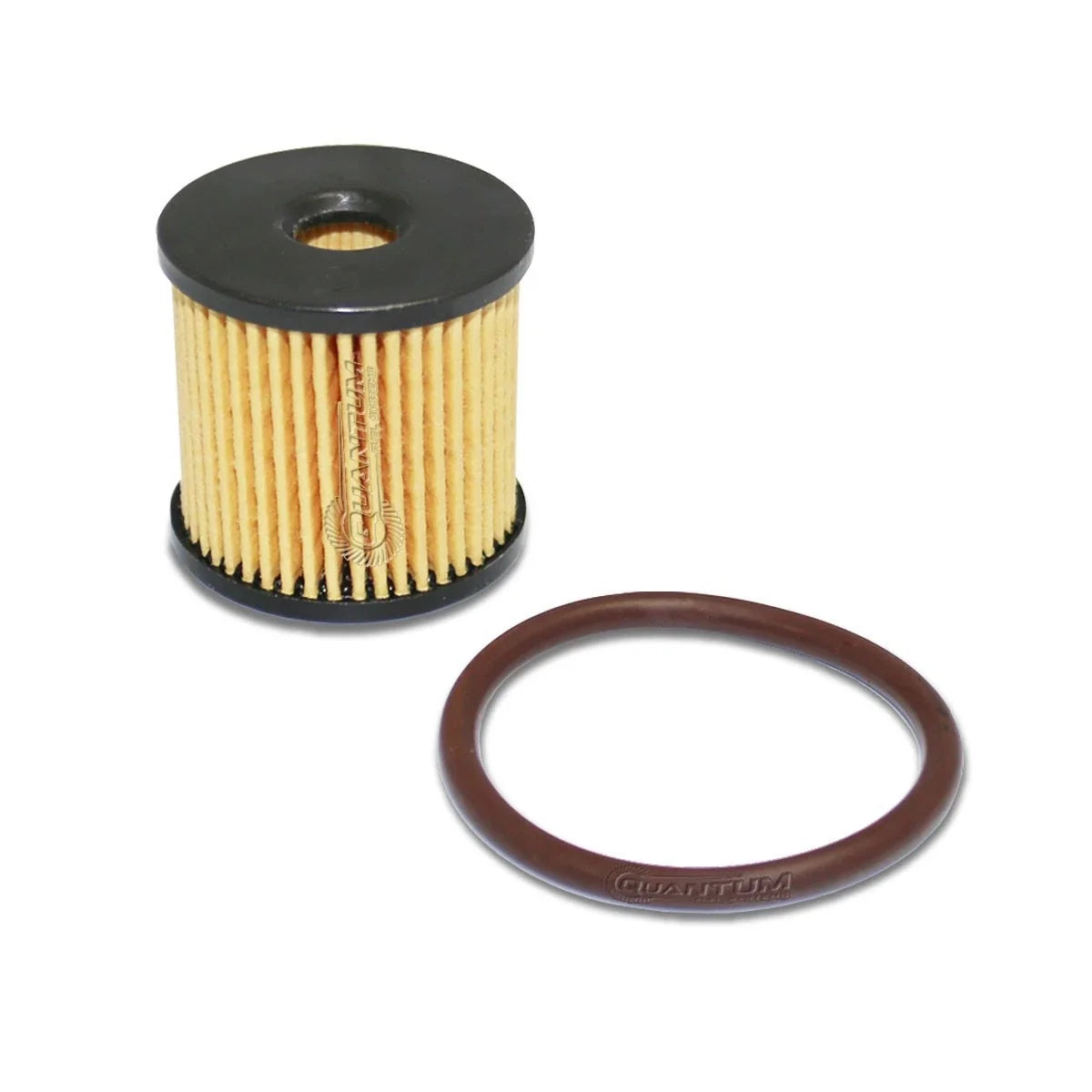 Fuel Pump Filter Rebuild Kit for Harley-Davidson Road King (2004–2006) 61011-04A