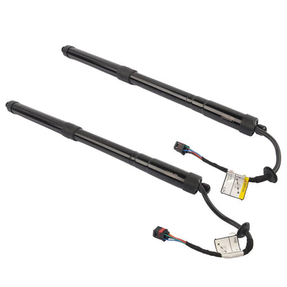 2Pcs Tailgate Lift Support for Hyundai Santa Fe (2013–2019)