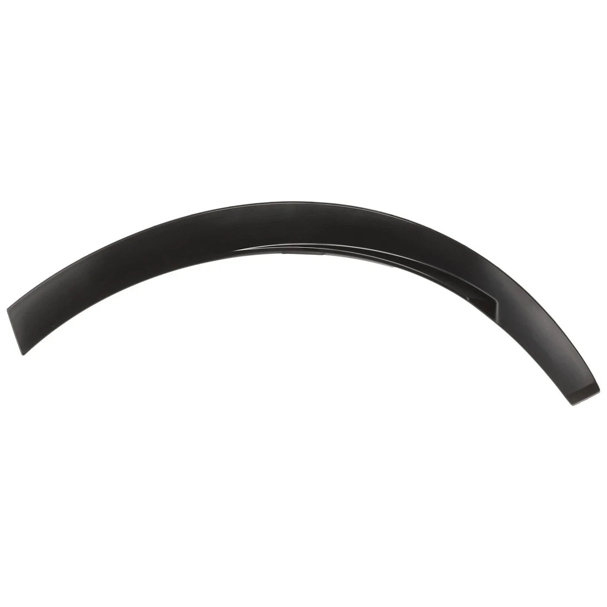 Fender Trim Molding for RX450h+