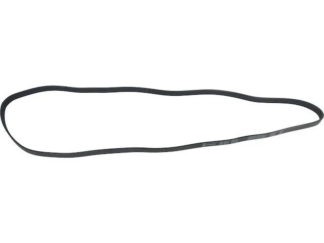 Multi Rib Belt for Tribute (2001–2008) JW247HD