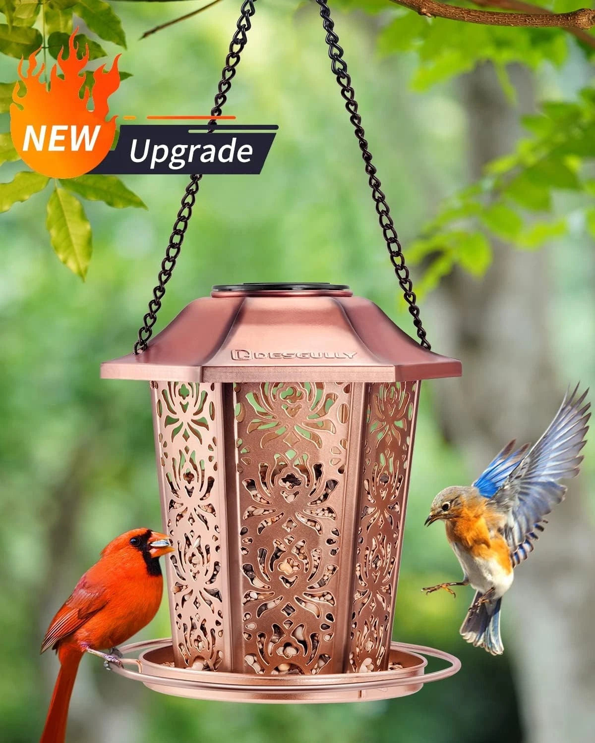 Solar Powered Metal Bird Feeder for Gardens (Weather Resistant, High Capacity)