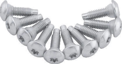 Set of 10 Fuel Pump Top Plate Zinc Screws with Washers for Harley Softail (2001–2017)