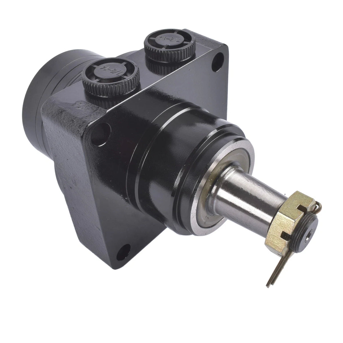 Hydraulic Motor TJ0050US080AAAB for Parker TJ Series