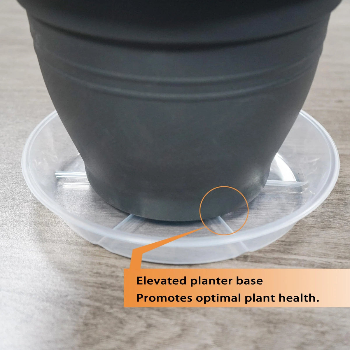 Set of 6 Clear 4-Inch Plant Saucers Trays