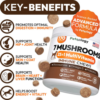 2 Pack Turkey Tail Mushroom Chews for Dogs - 340 Chews, Multivitamin