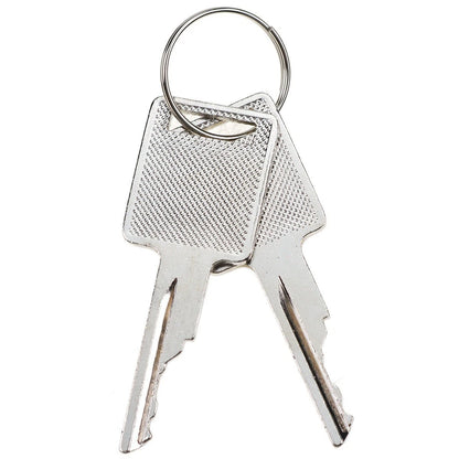 2X Ignition Keys for Bobcat Skid Steer Loader (751, 753, 763, 773, 863, 873, 883, 963) 6693241, 6709527
