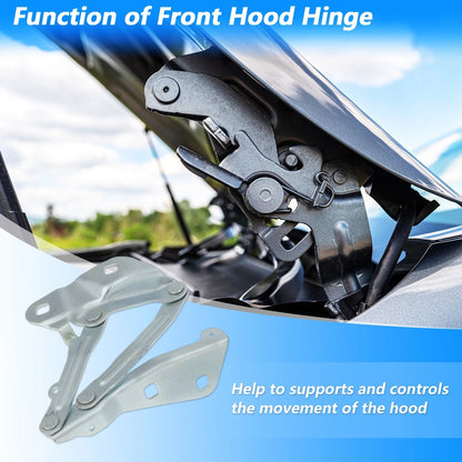 Front Hood Hinge for Ford Transit-150 Transit-250 Transit-350 (2015–2023) No.BK3Z16796A