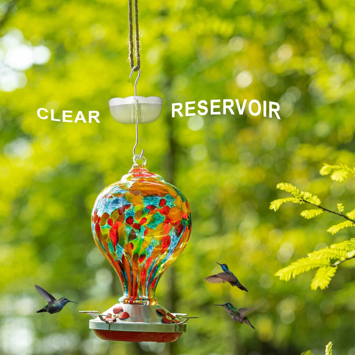 4X Ant Moat for Hummingbird Feeders (6 OZ) Vintage Style Clear