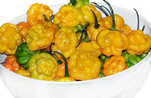 30 Yellow Scotch Bonnet Hot Pepper Seeds Heirloom Non-GMO