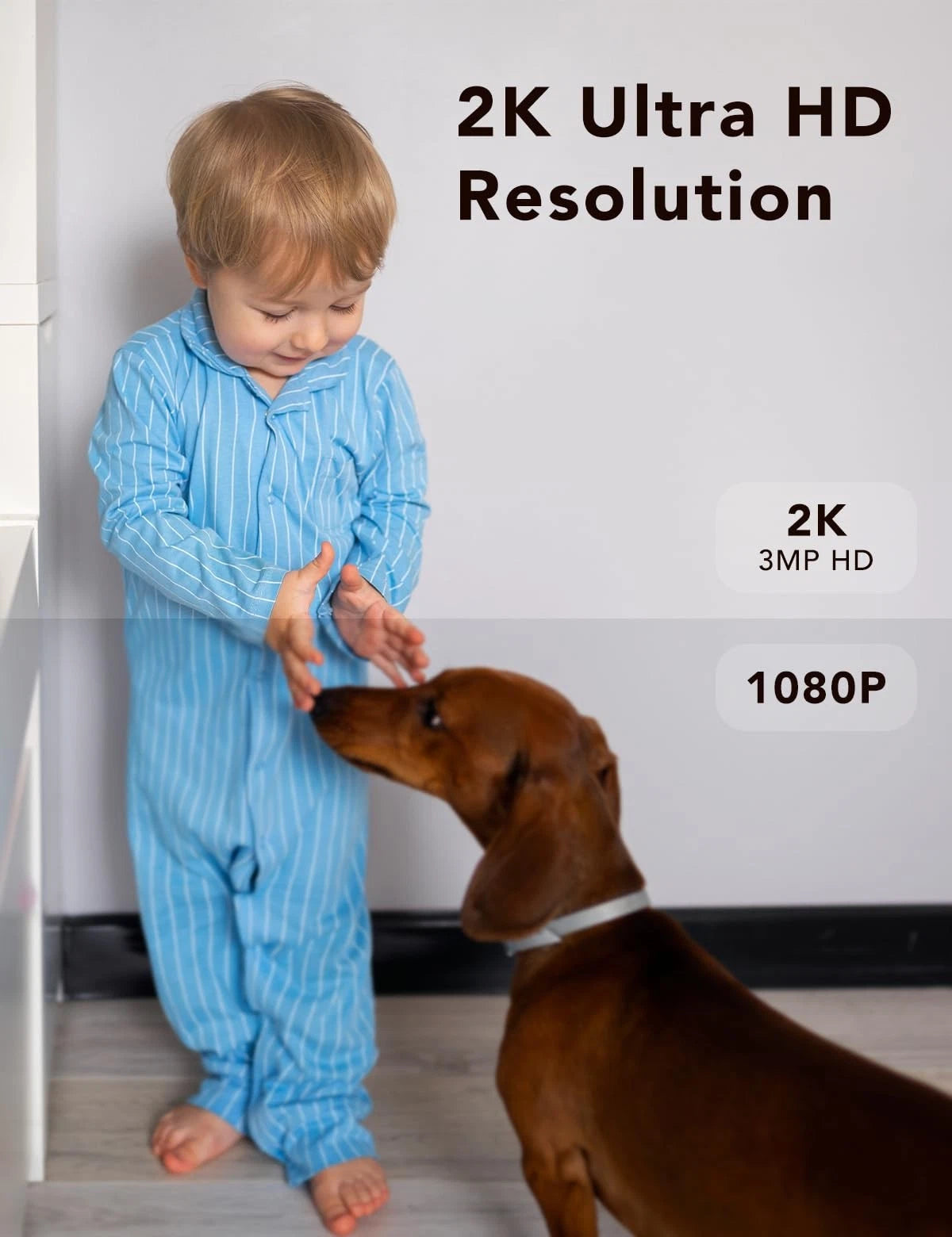 4X Security Camera for Home, Pet - Wired Outdoor/Indoor, Black