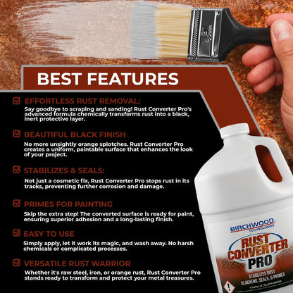 Birchwood Rust Converter for Automotive Use (128 Fl Oz)