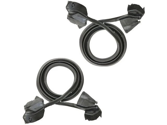 Door Seal for Buick Electra (1969–1970) 48572JZCV