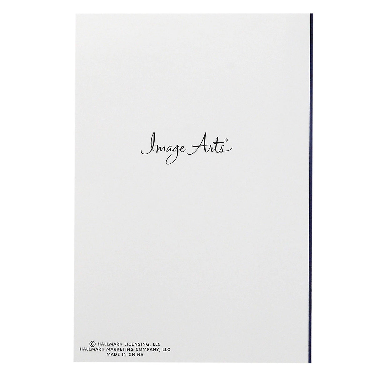 Set of 24 Assorted Christmas Cards for Religious Themes (4 Designs)