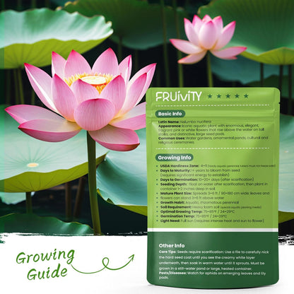 30 PCS Lotus Seeds for Planting in Water - Mixed Color Bowl