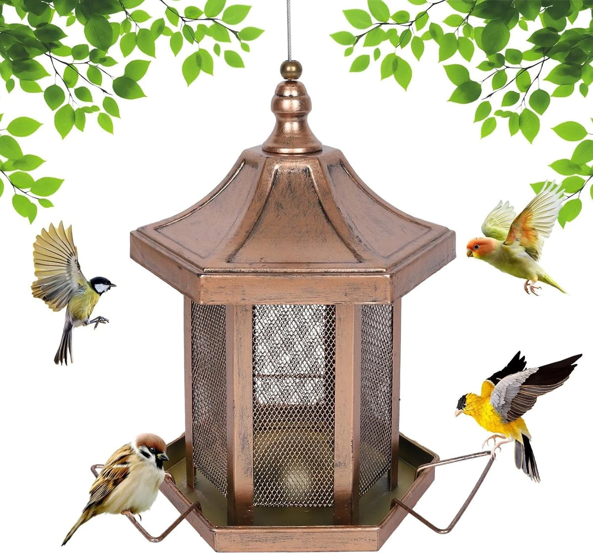 3LB Capacity Hexagon Bird Feeder for Birdwatching