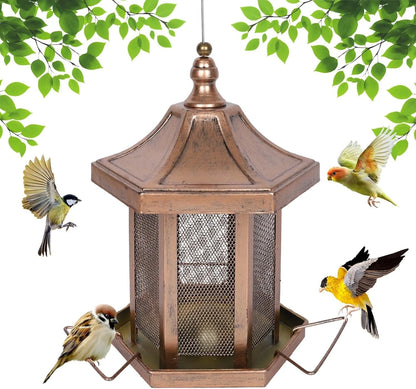 3LB Capacity Hexagon Bird Feeder for Birdwatching