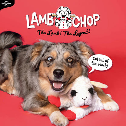 Lamb Chop Plush Toy for Small & Medium Dogs (10", White)