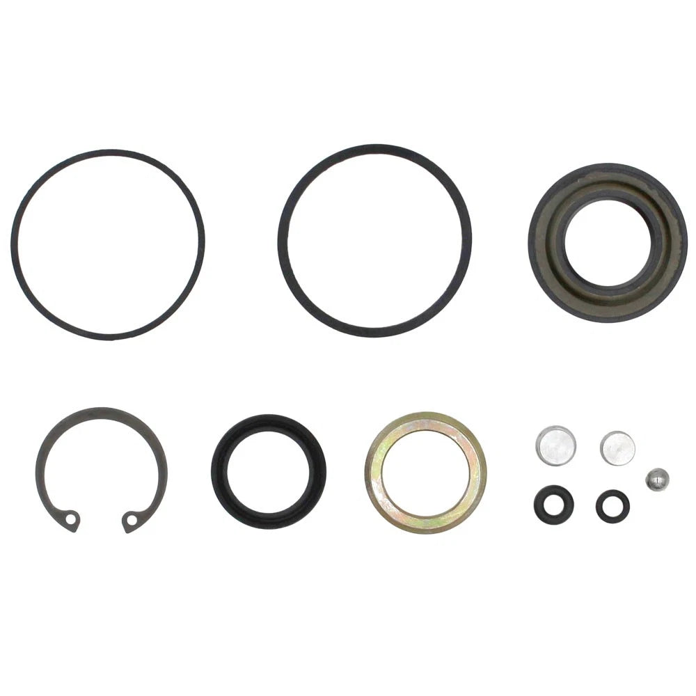 Steering Hand Pump Seal Kit for International (Fits 123465C1)
