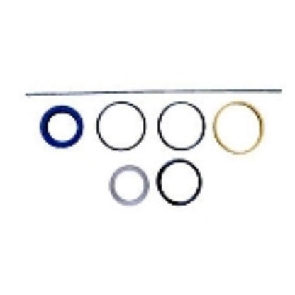 Hydraulic Cylinder Seal Kit for Ford/New Holland