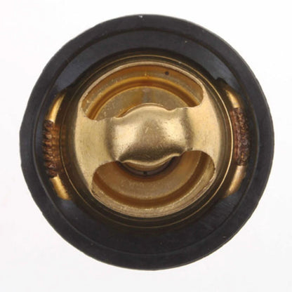 Thermostat Unit for CFMoto CF250 Maxi-Scooter (F039-029)