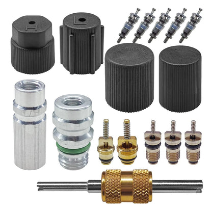 Air Conditioning Valve Core Kit for Car (R12 R134a)