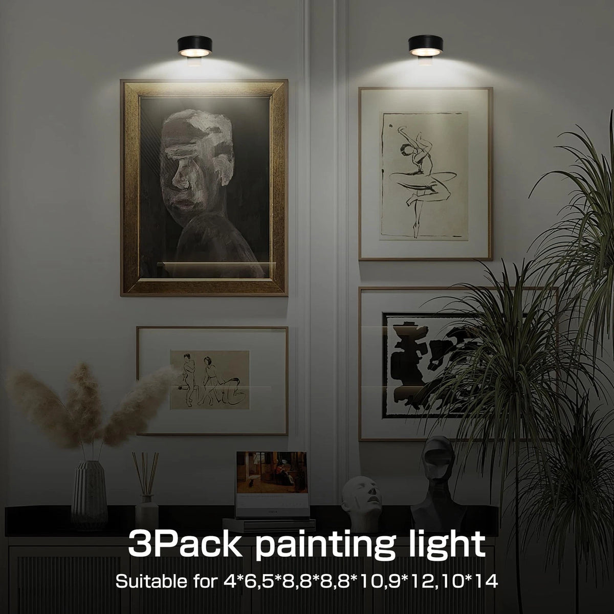 2-Pack Picture Light for Paintings Battery Operated, Black