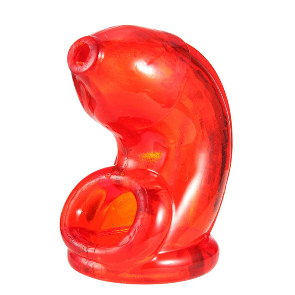 Chastity Lock for Male (No Year Range)
