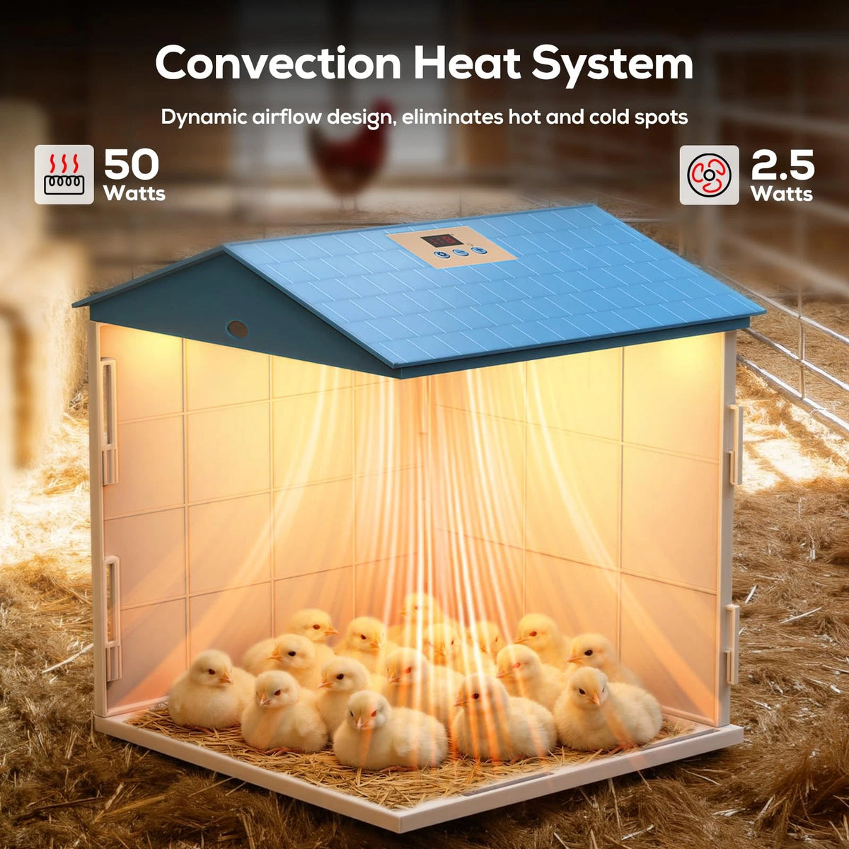 Chick Brooder Plate for Chicks - Temperature Control & Display, Blue