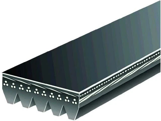 Multi Rib Belt for Suzuki Aerio 2.0L (2002–2003) ZQ177FP