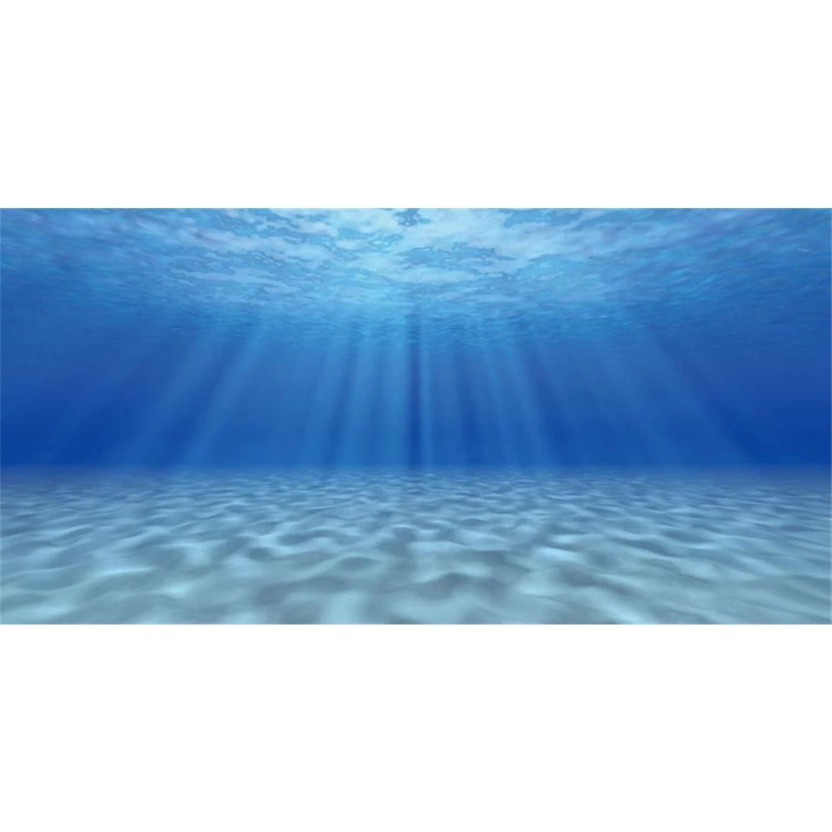 48x24 Inch Ocean Floor Undersea Aquarium
